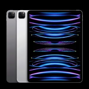 M2 12.9 inch iPad. BARELY USED 256gb